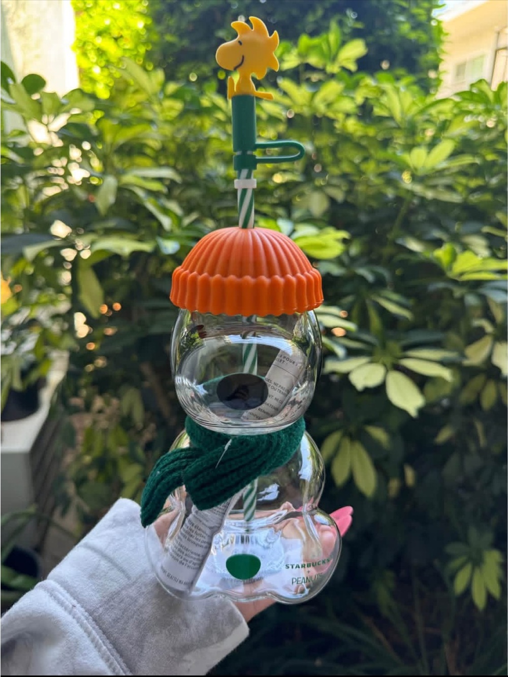 Snoopy x Starbucks Glass Cup
